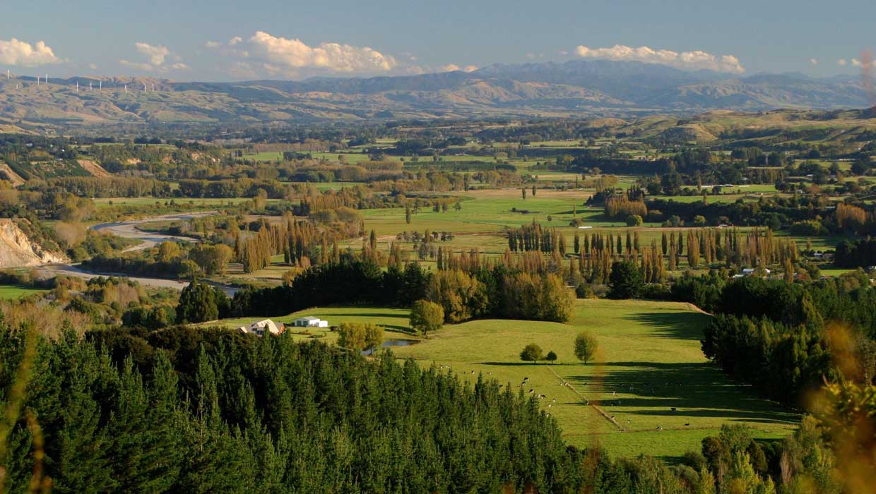 Manawatu