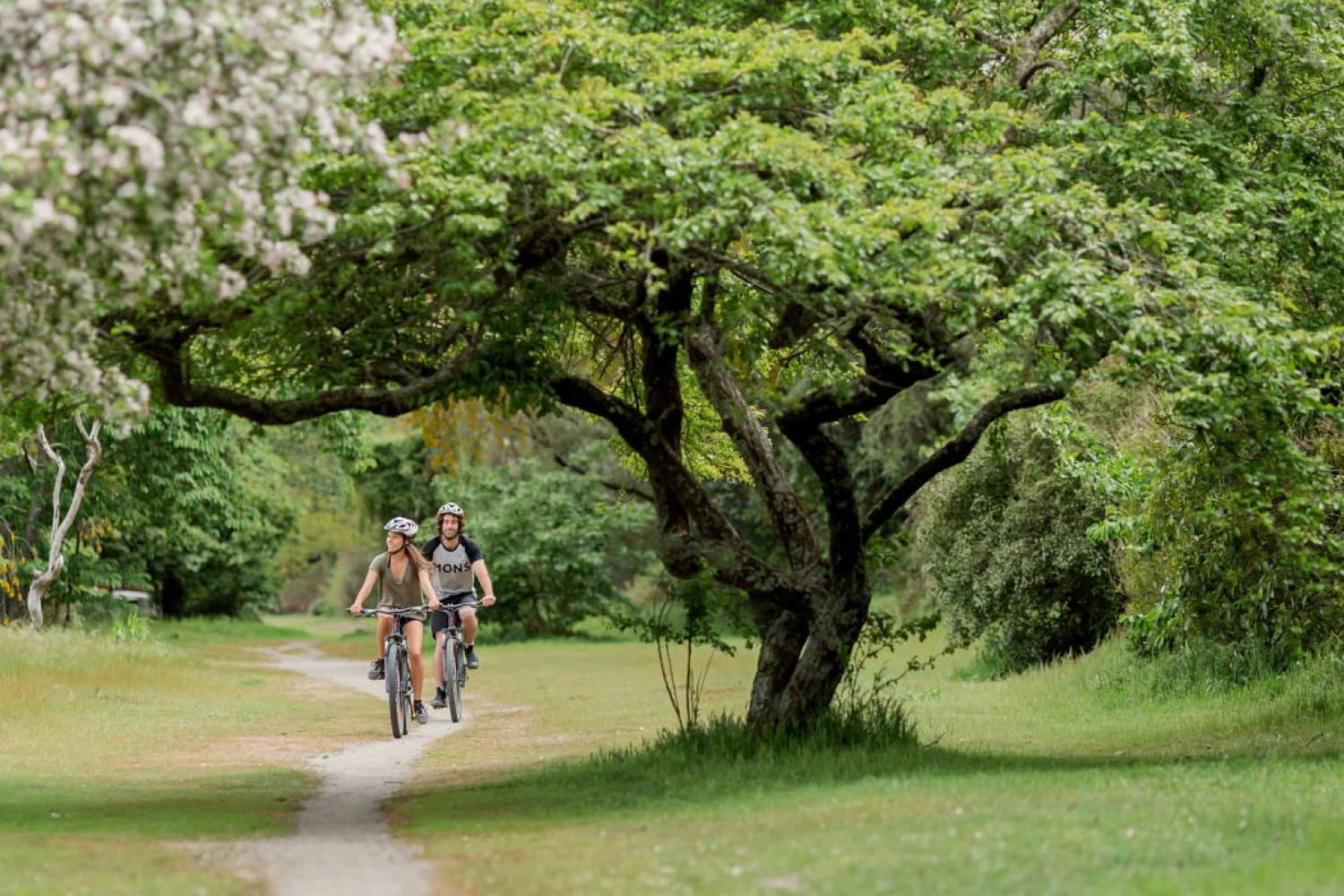 ebike racks in NZ bike track