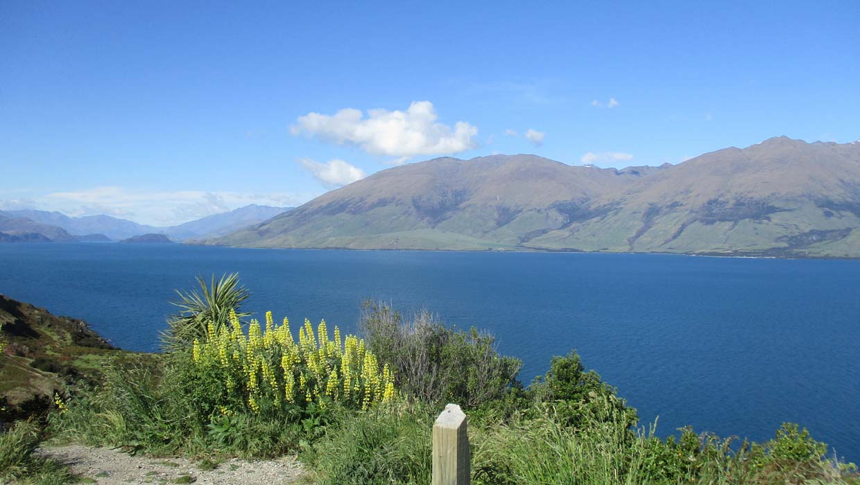 Lake Wanaka