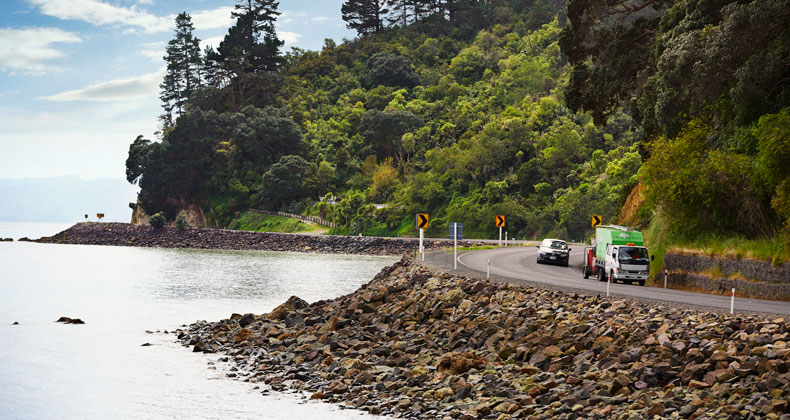 Tainui cove thames