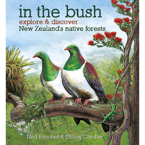 In The Bush: Explore and Discover New Zealand's Native Forests - by Gillian Chandler